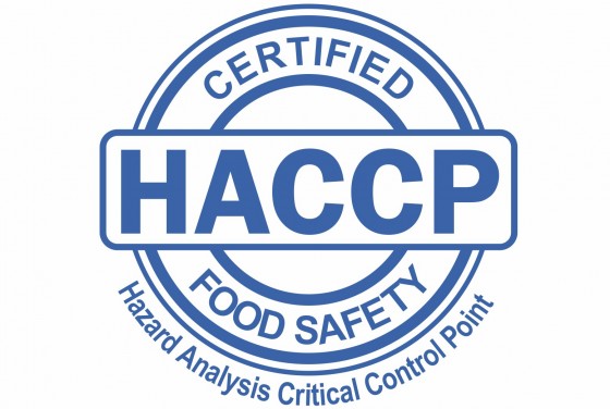 HACCP certified logo in big size